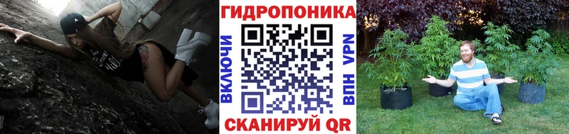 где купить наркоту  Лангепас  Бошки марихуана OG Kush 